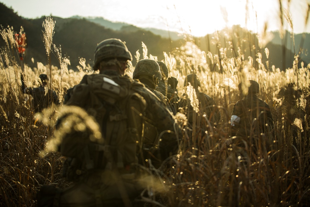 Platoon Assault Range in Korea