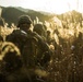 Platoon Assault Range in Korea