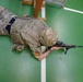 British Armed Forces train in US Range