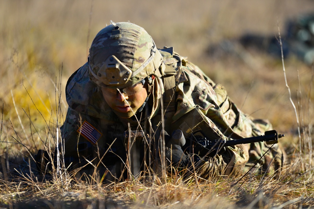 Exercise Mountain Shock 2016