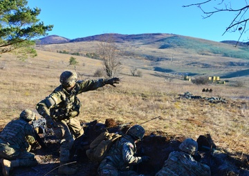 Exercise Mountain Shock 2016
