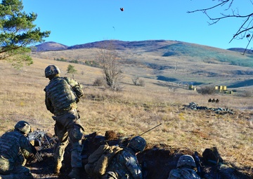 Exercise Mountain Shock 2016