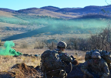 Exercise Mountain Shock 2016