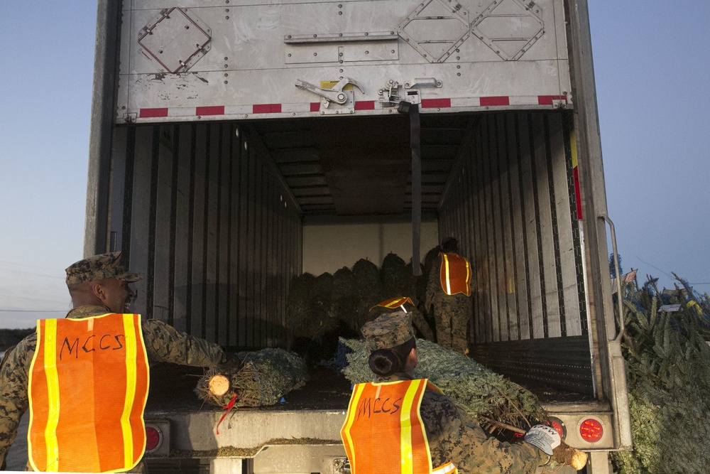 Trees for Troops helps spread Christmas spirit