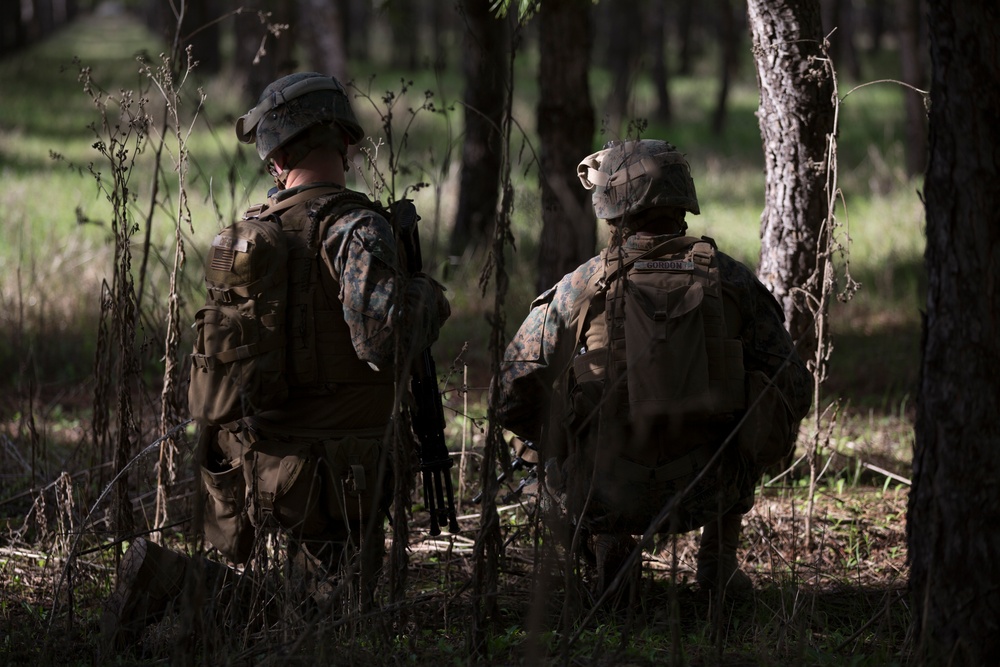 Maintaining Proficiency: Marines conduct patrolling training exercises