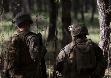 Maintaining Proficiency: Marines conduct patrolling training exercises