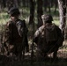 Maintaining Proficiency: Marines conduct patrolling training exercises