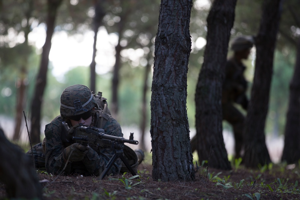 Maintaining Proficiency: Marines conduct patrolling training exercises