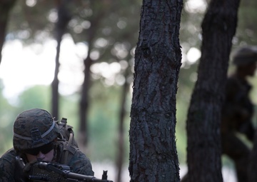 Maintaining Proficiency: Marines conduct patrolling training exercises
