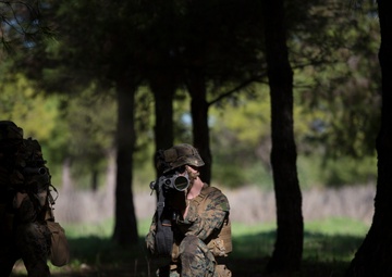 Maintaining Proficiency: Marines conduct patrolling training exercises