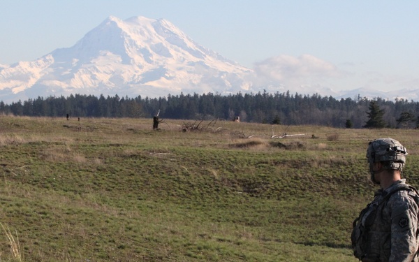 Mt. Rainer