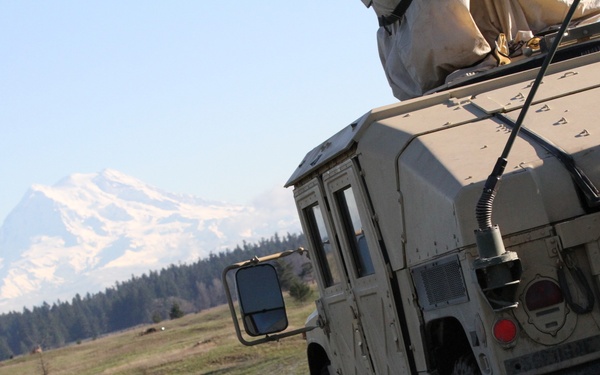 Mt. Rainer