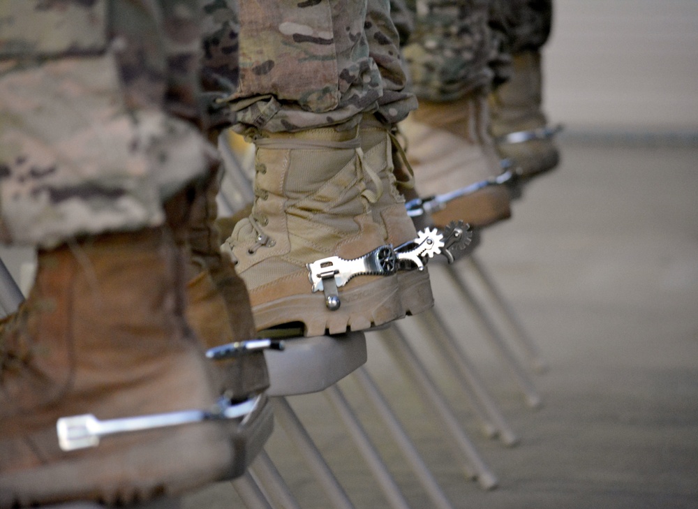 Fort Stewart, HAAF Troopers earn thier spurs