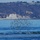 USS Zumwalt (DDG 1000) Homeport Arrival to San Diego