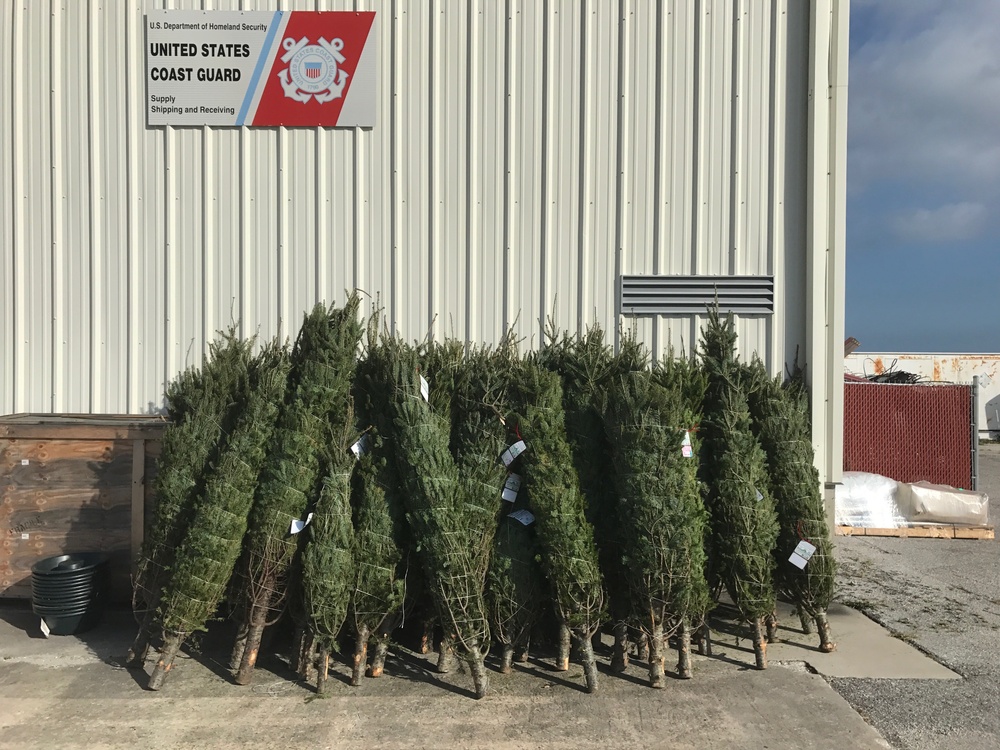 St. Petersburg Coast Guard receives donated Christmas trees