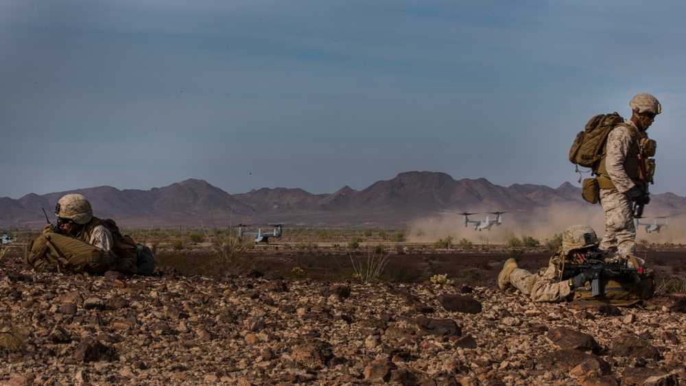 Steel Knight 2017: 3/5 Conducts Aerial Insertion and Battalion Level Raids