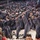 2016 Army Navy Game