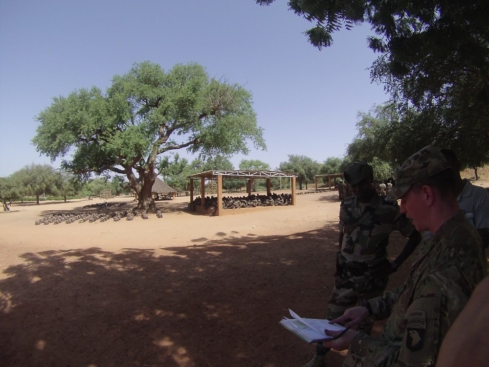 U.S. troops observe and enhance Niger basic training