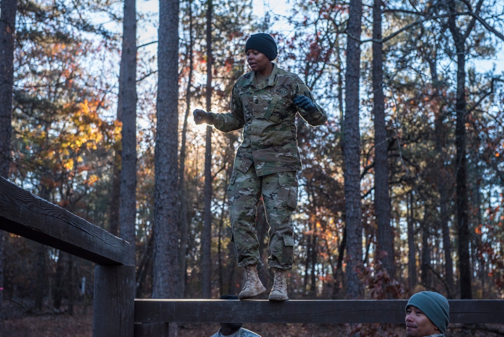 Tarzan obstacle