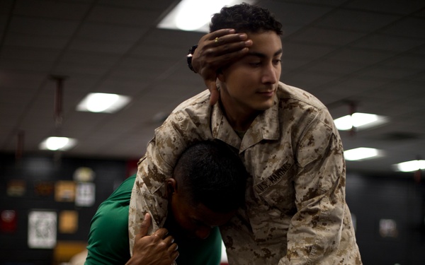 Marine Corps Martial Arts Program Training