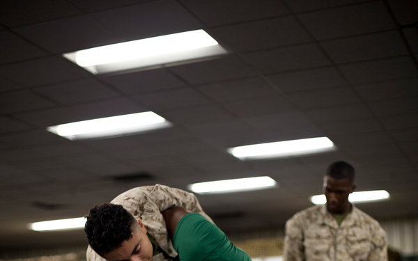 Marine Corps Martial Arts Program Training