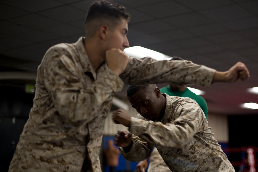 DVIDS - Images - Marine Corps Martial Arts Program Training [Image 5 of 5]