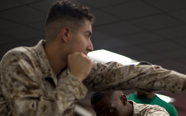 Marine Corps Martial Arts Program Training