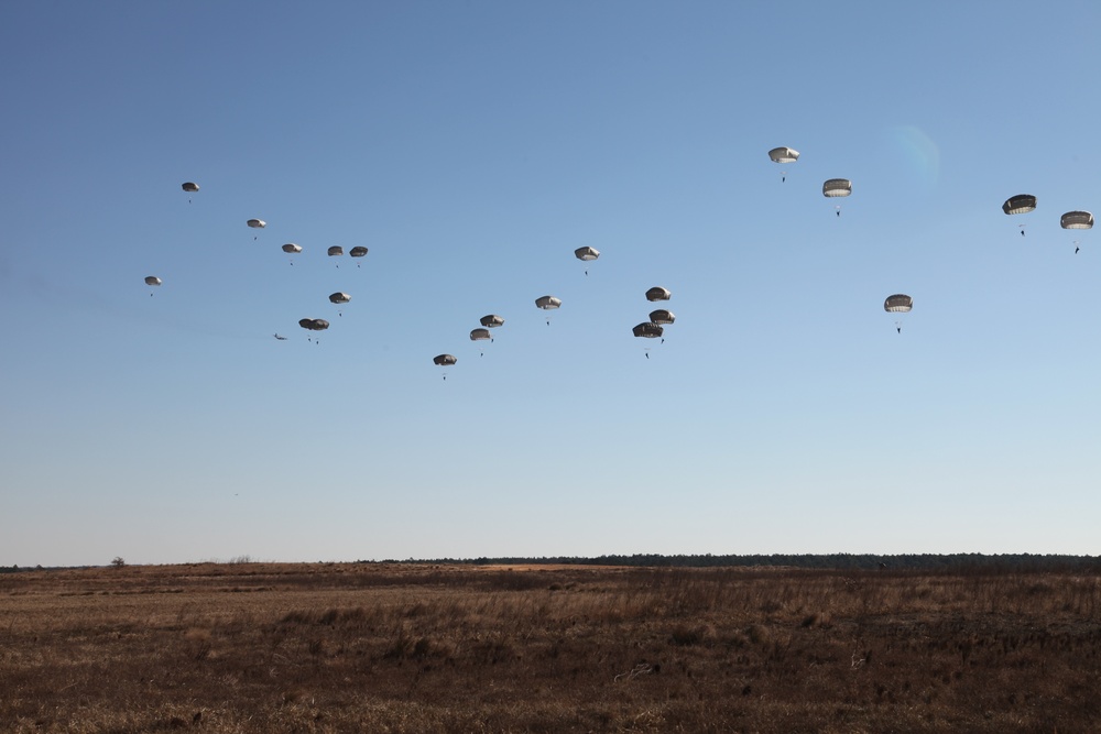 Paratroopers fill the sky