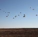 Paratroopers fill the sky