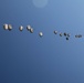 Paratroopers descending from aircraft