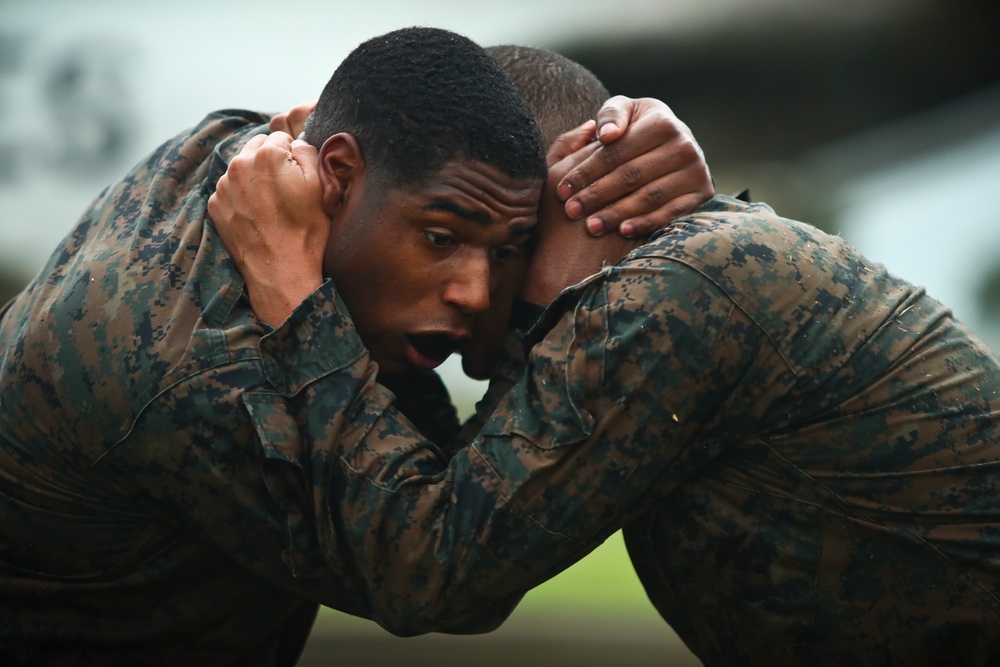 To Become a Martial Arts Instructor in Hawaii