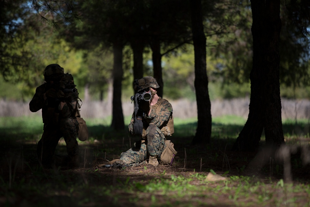 Maintaining Proficiency: Marines conduct patrolling training exercises