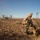 Steel Knight 2017: 3rd Battalion 5th Marine Regiment Long Range Raid