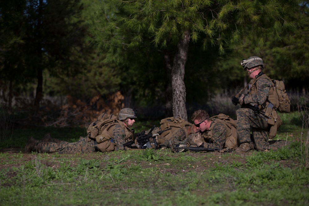 Maintaining Proficiency: Marines conduct patrolling training exercises