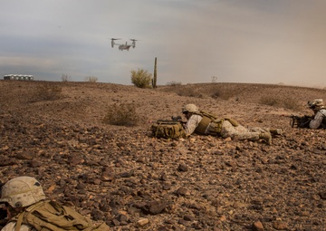 Steel Knight 2017: 3/5 Conducts Aerial Insertion and Battalion Level Raids