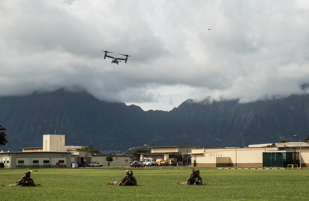 Hawaii Marines Simulate Operation Gothic Serpent