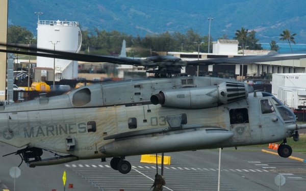 A U.S. Marines CH-53E Super Stallion helicopter (tail number HMH-463, side number 03) hovers low over a grassy area while personnel conduct fast-rope insertion/extraction (FRIES) training. At least three soldiers are visible on the ground, with one still descending the rope from the aircraft. The setting appears to be a military installation, likely in Hawaii based on the tropical vegetation and mountainous backdrop.