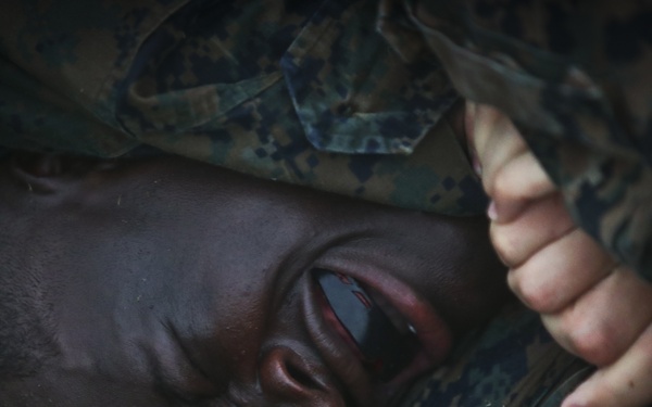 To Become a Martial Arts Instructor in Hawaii