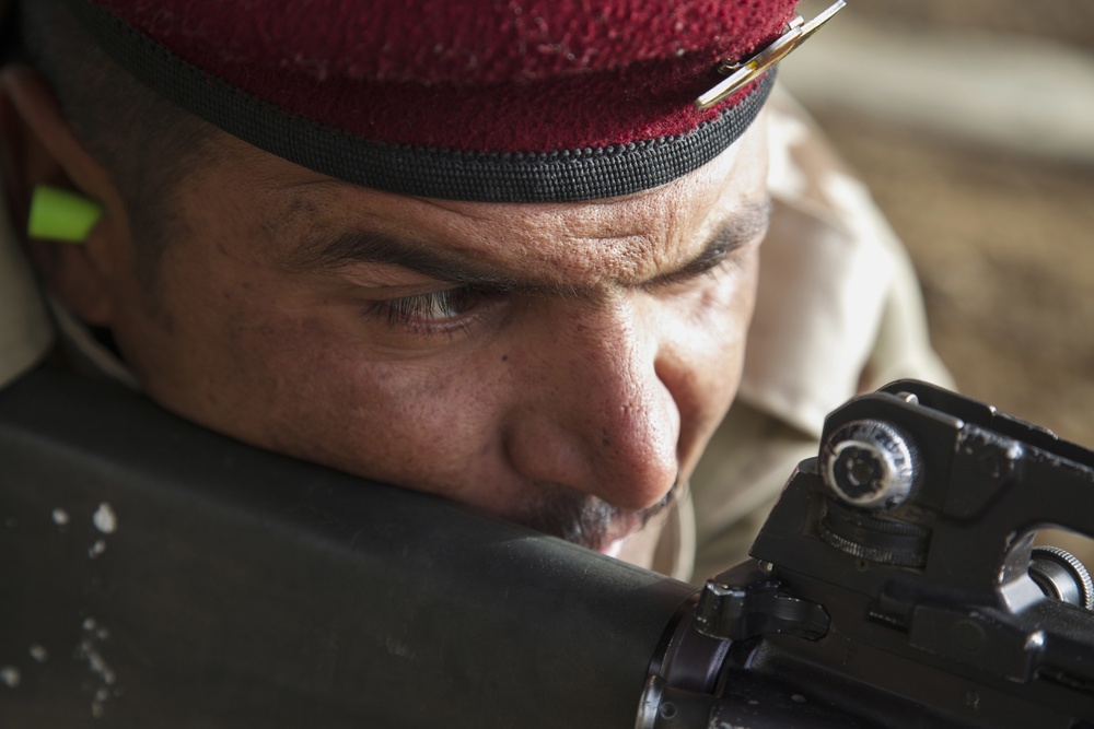 Iraqi weapons training