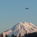 Black Hawk and Mount Rainier