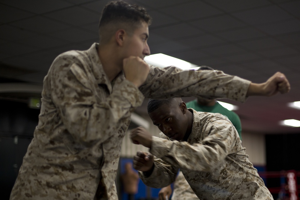 Marine Corps Martial Arts Program Training