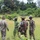 Training together to counter illicit trafficking in Gabon