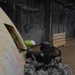 39th Signal and USAG Benelux paintball exercise