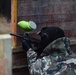39th Signal and USAG Benelux paintball exercise