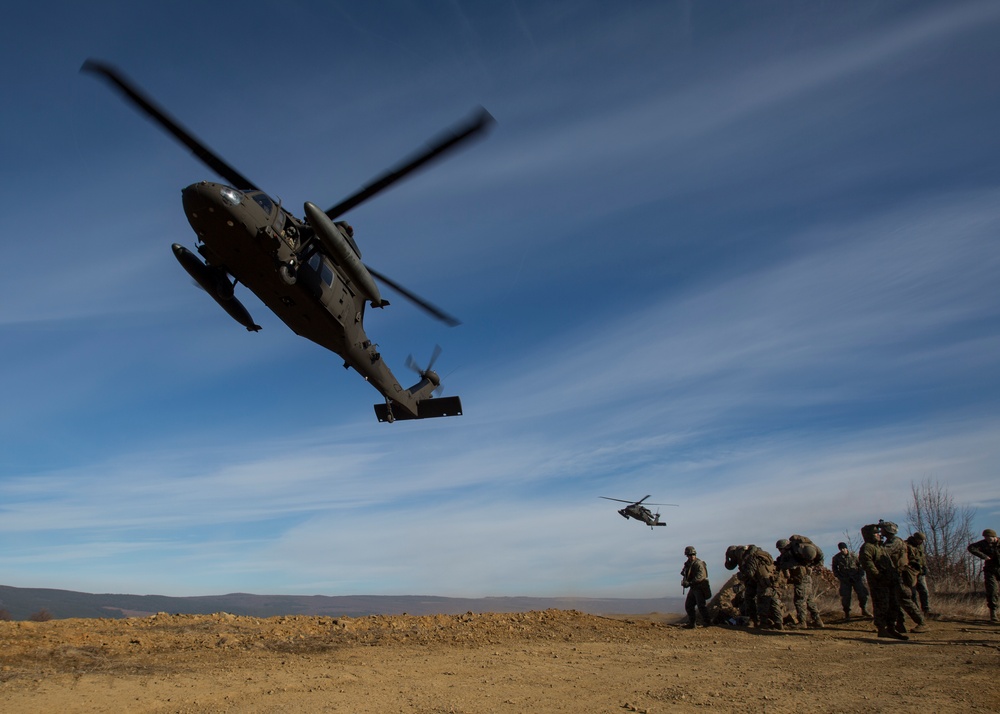 DVIDS - Images - U.S. Marines, partner nations, conduct CASEVAC ...