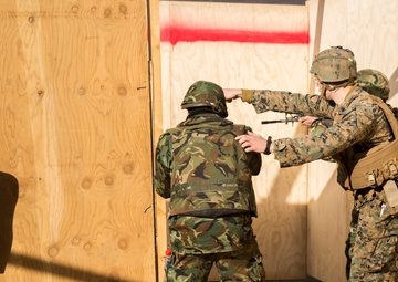 How to Clear a Room: Platinum Lion 16