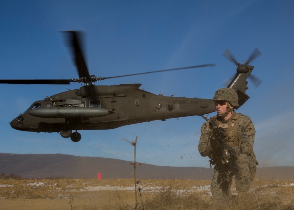 U.S. Marines, partner nations, conduct CASEVAC simulation during Platinum Lion