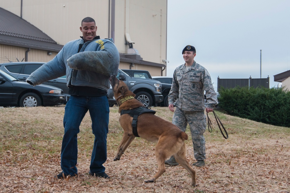 WWE meets military working dog