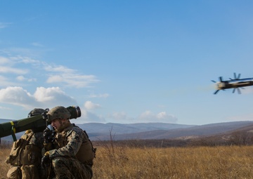 U.S. Marines, Bulgarians, conduct live-fire range during exercise Platinum Lion