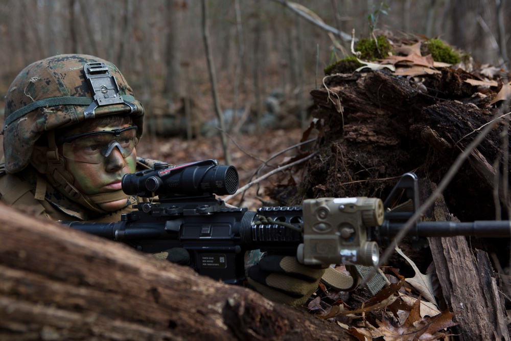 U.S. Marines with 3/8 conduct Deployment For Training Exercise